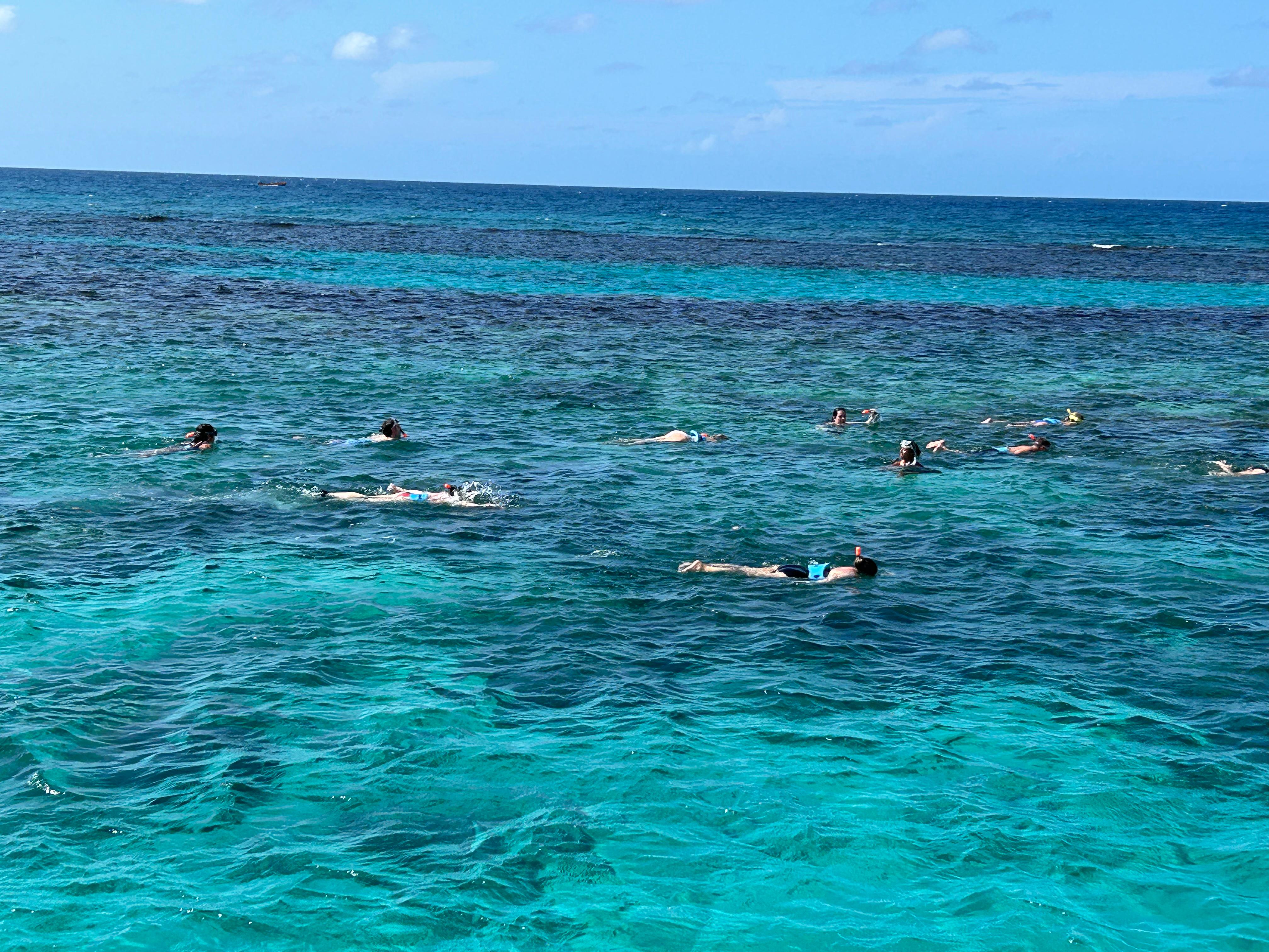 Snorkeling excursion/
Catamaran 