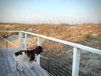 Wraps around whole house… fenced porch…with a view.