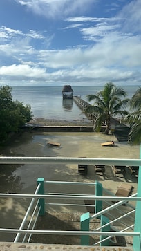 View from the house