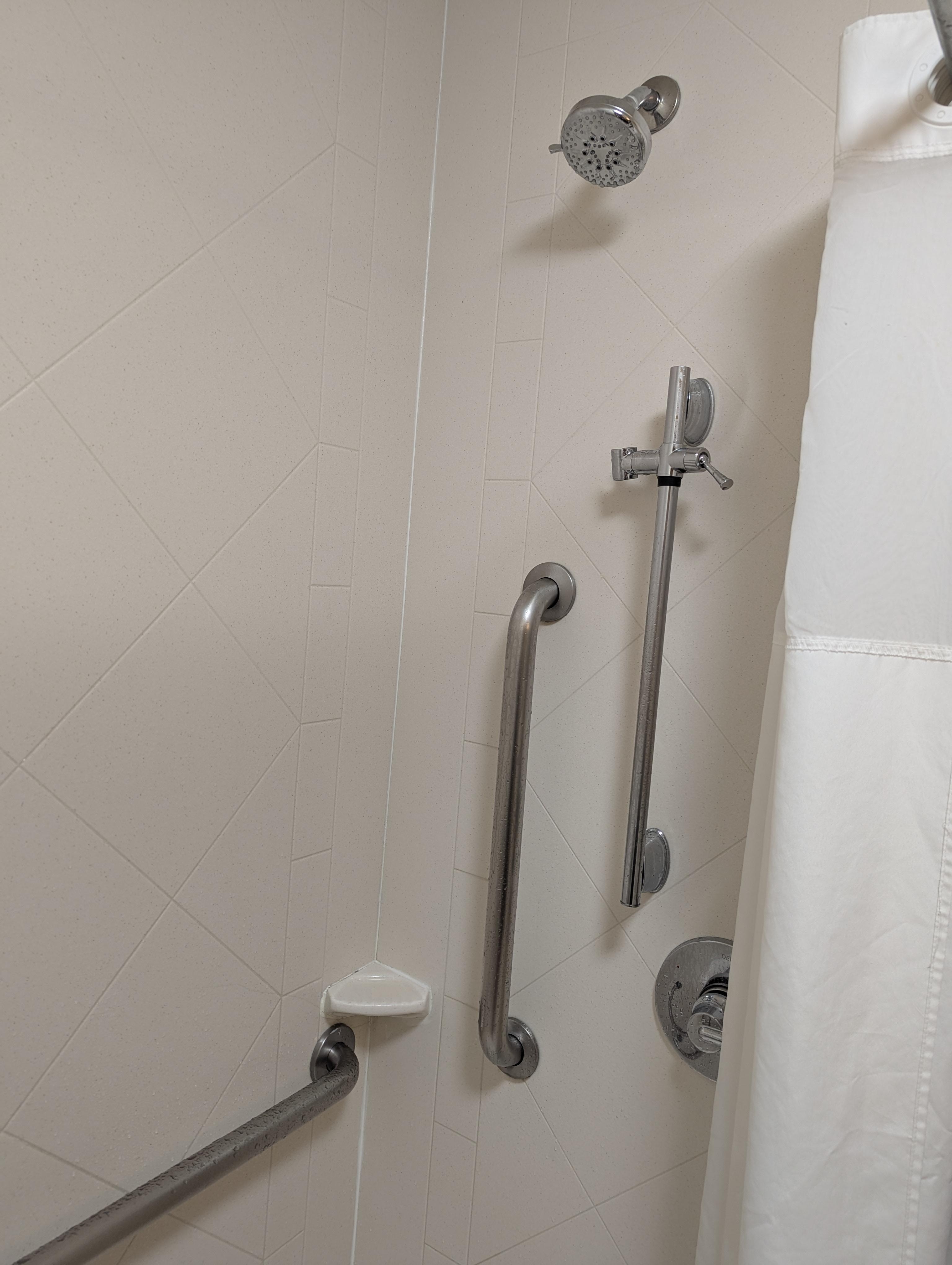 Handicapped shower. No handheld shower head.