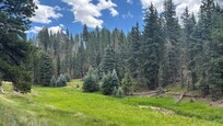Hike at the end of Sulphur Springs Road.