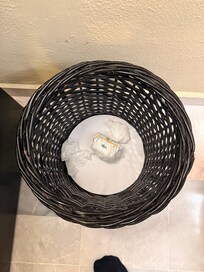 Dirty diaper left behind by housekeeping and notice it right after check in .