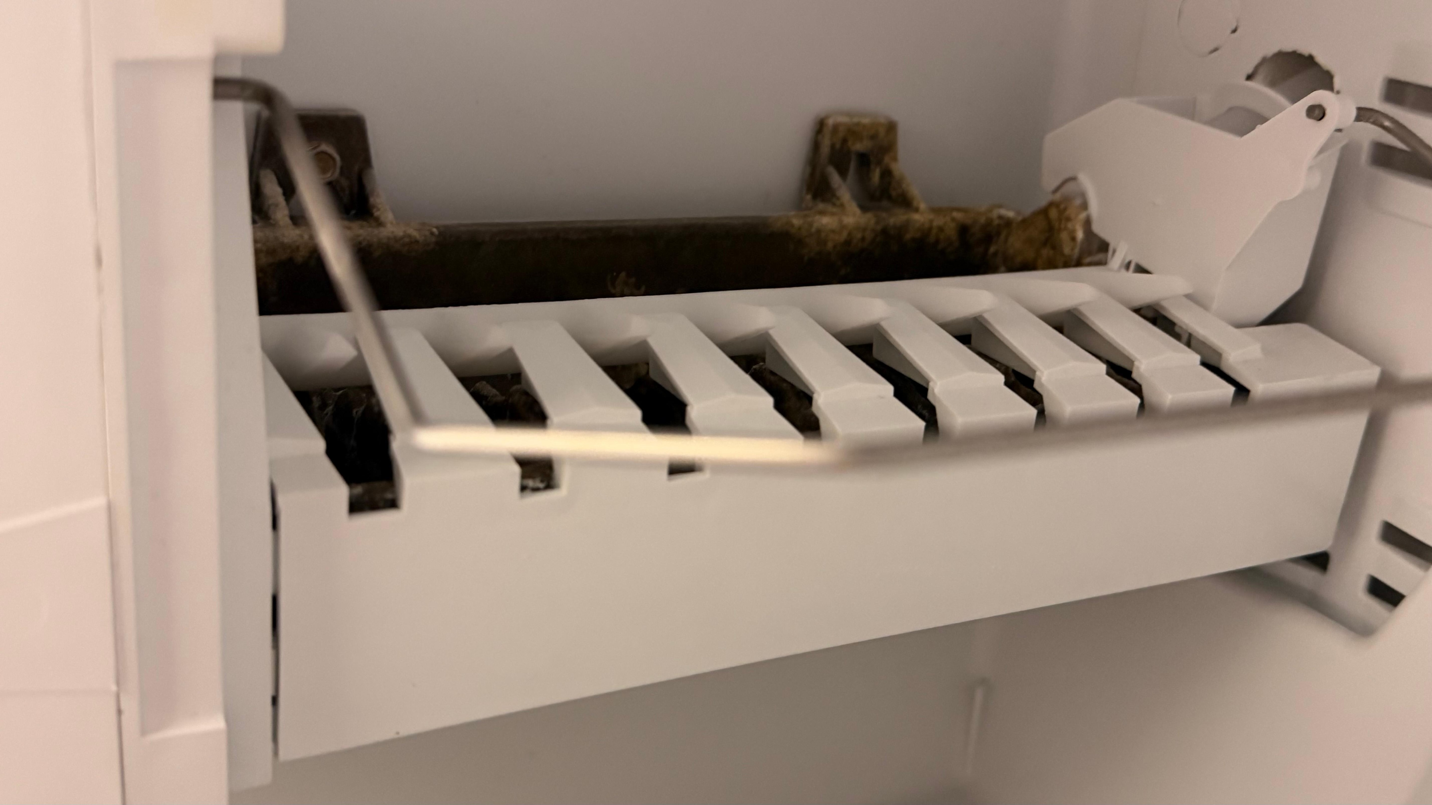 Mold in the refrigerator 