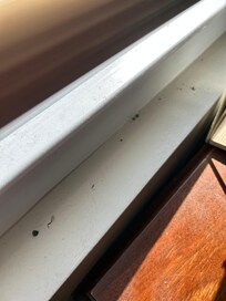 Window sill
