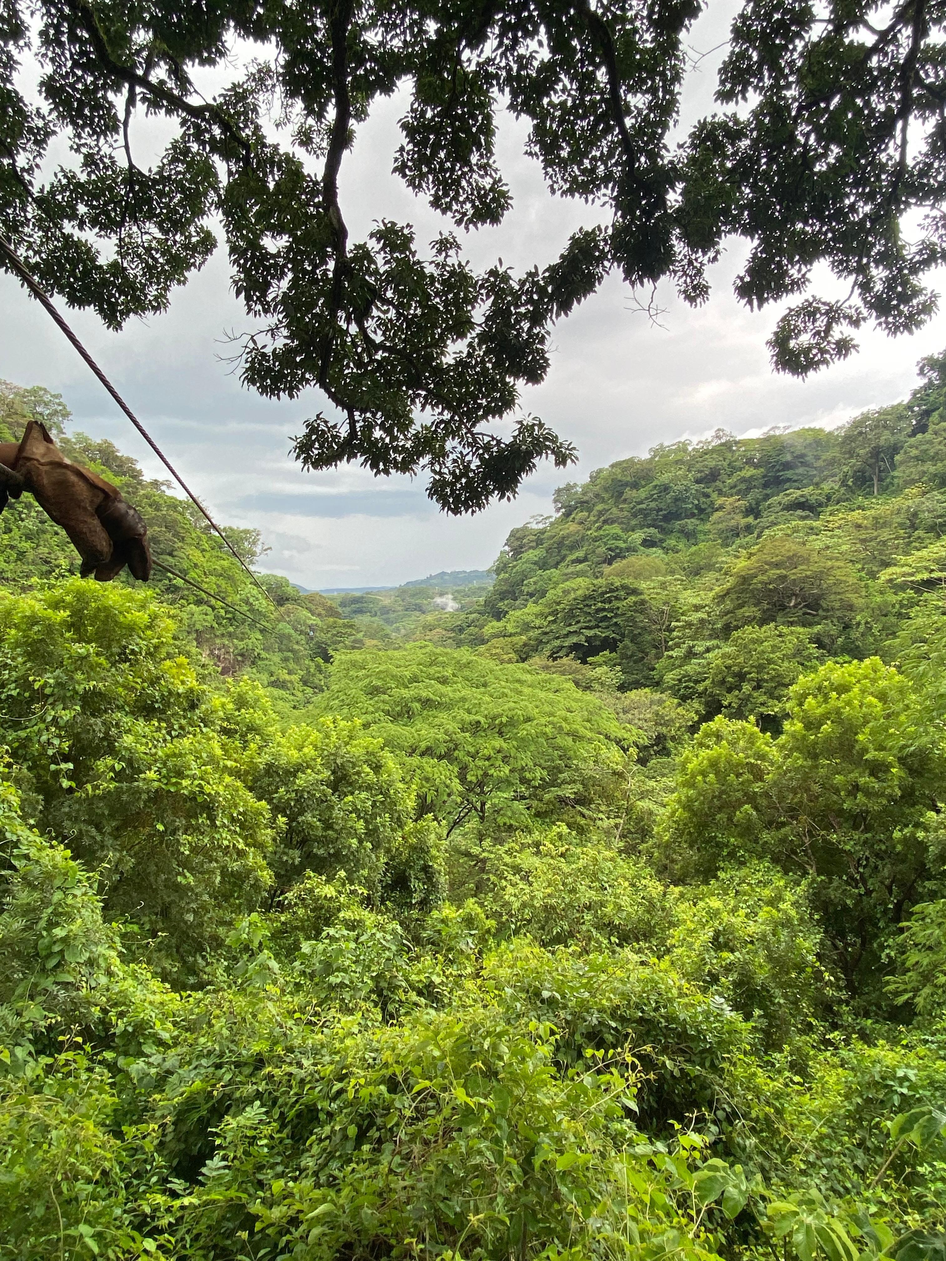 Deep in the mountains while ziplining