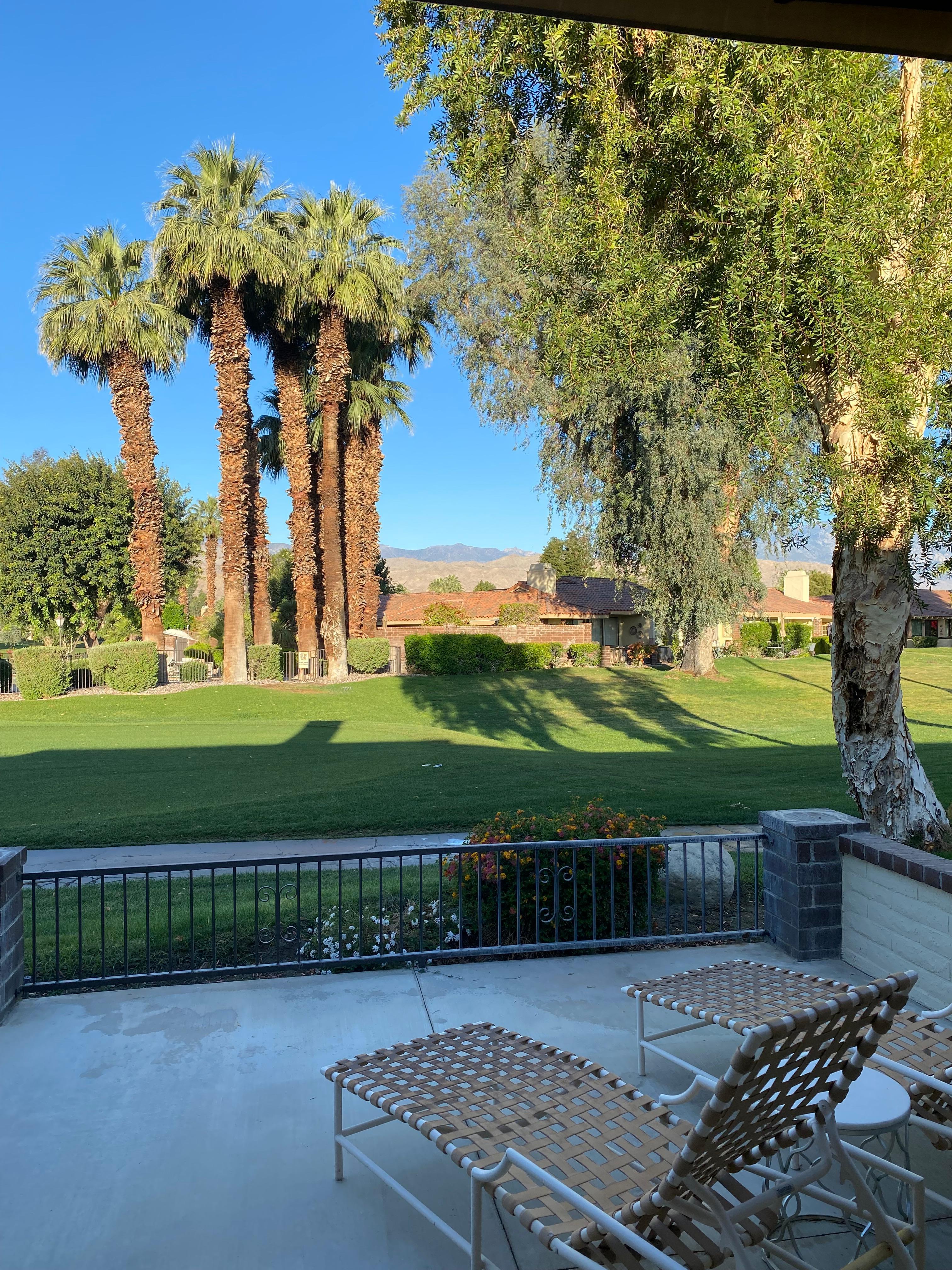 View from patio 
