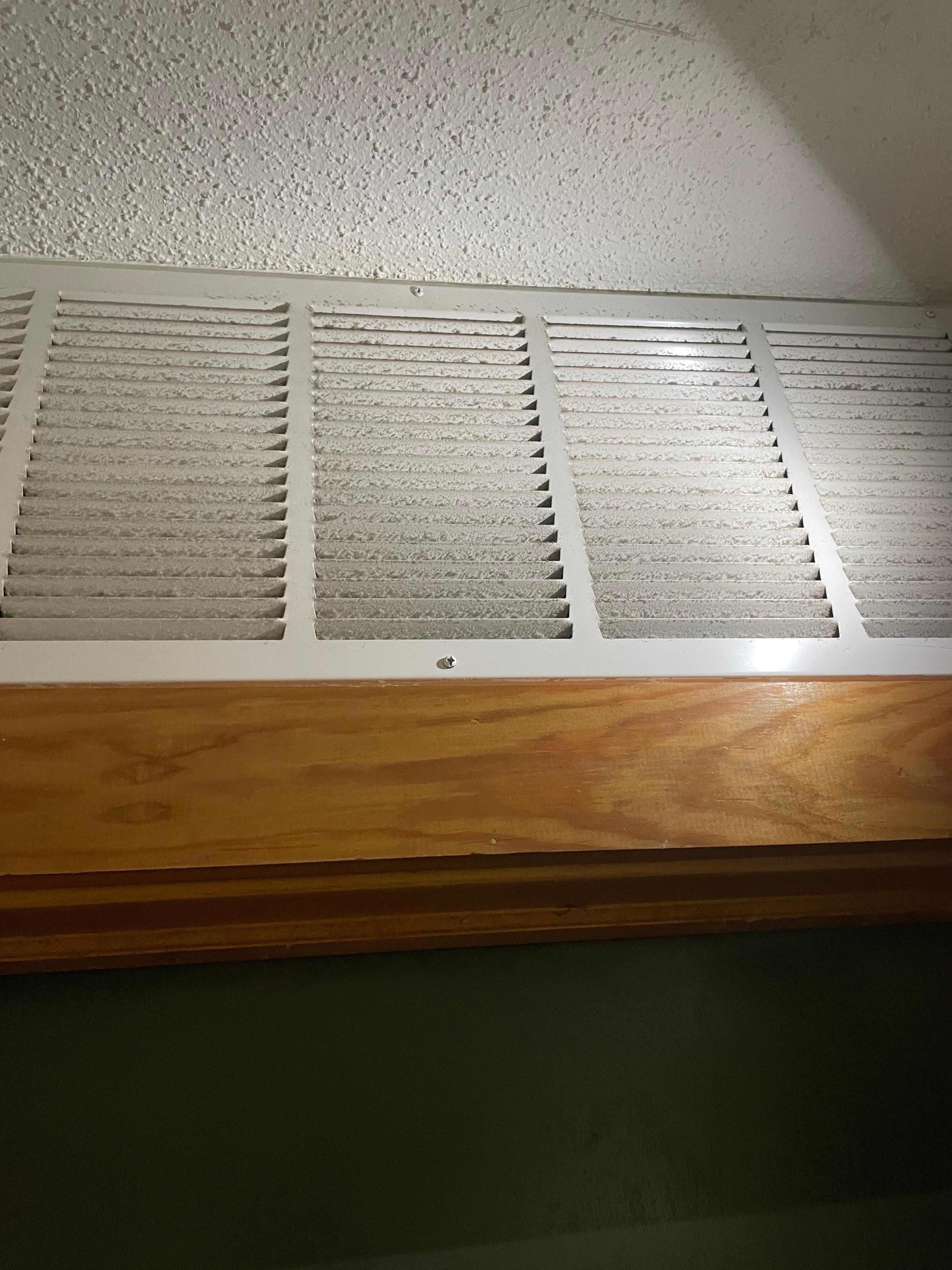 Air ducts never clean. On the surface, no telling what is in the actual ductwork itself.