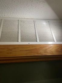 Air ducts never clean. On the surface, no telling what is in the actual ductwork itself.