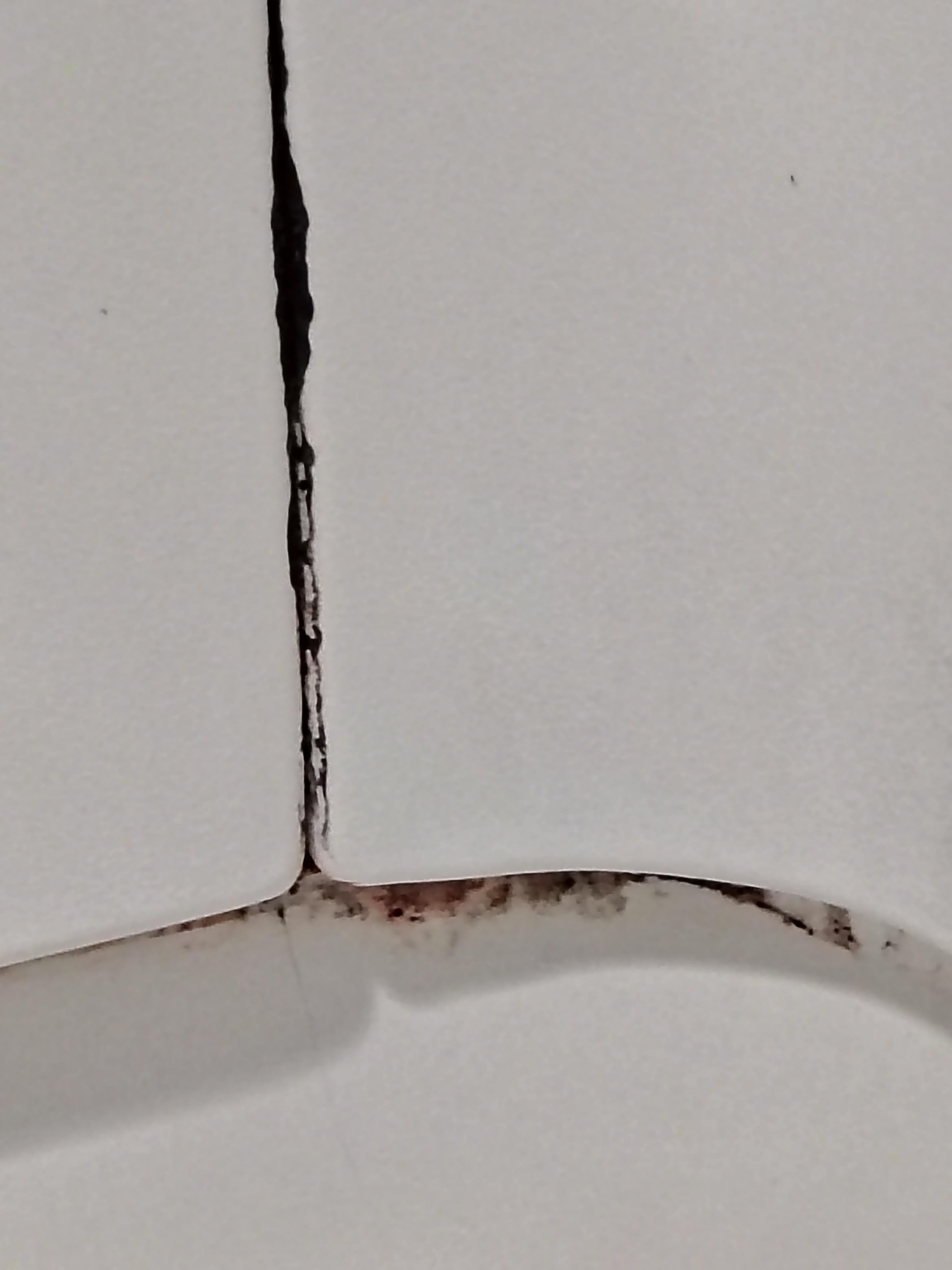 More mildew/mold and the shower/tub.