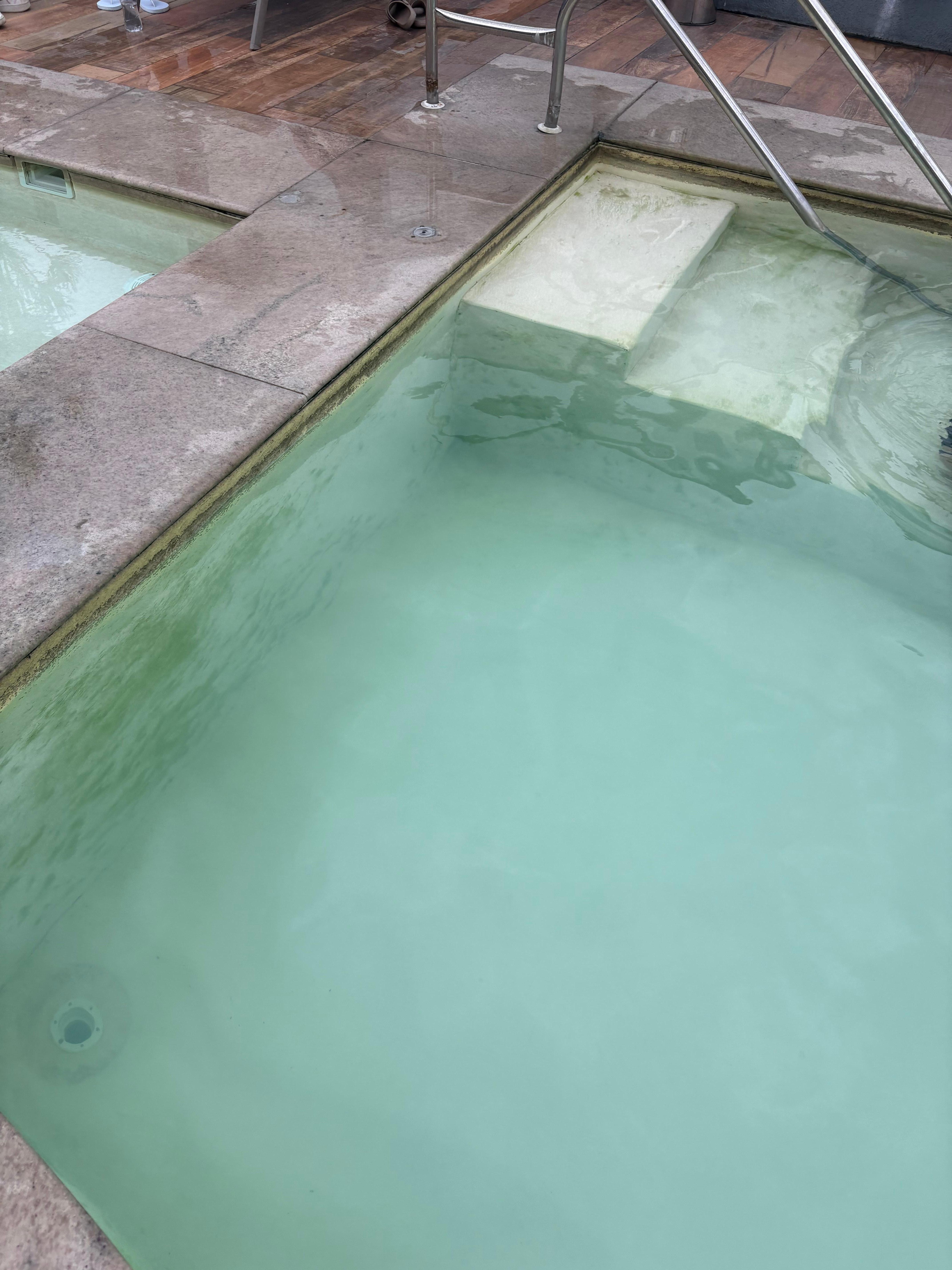 Green algae in the pool