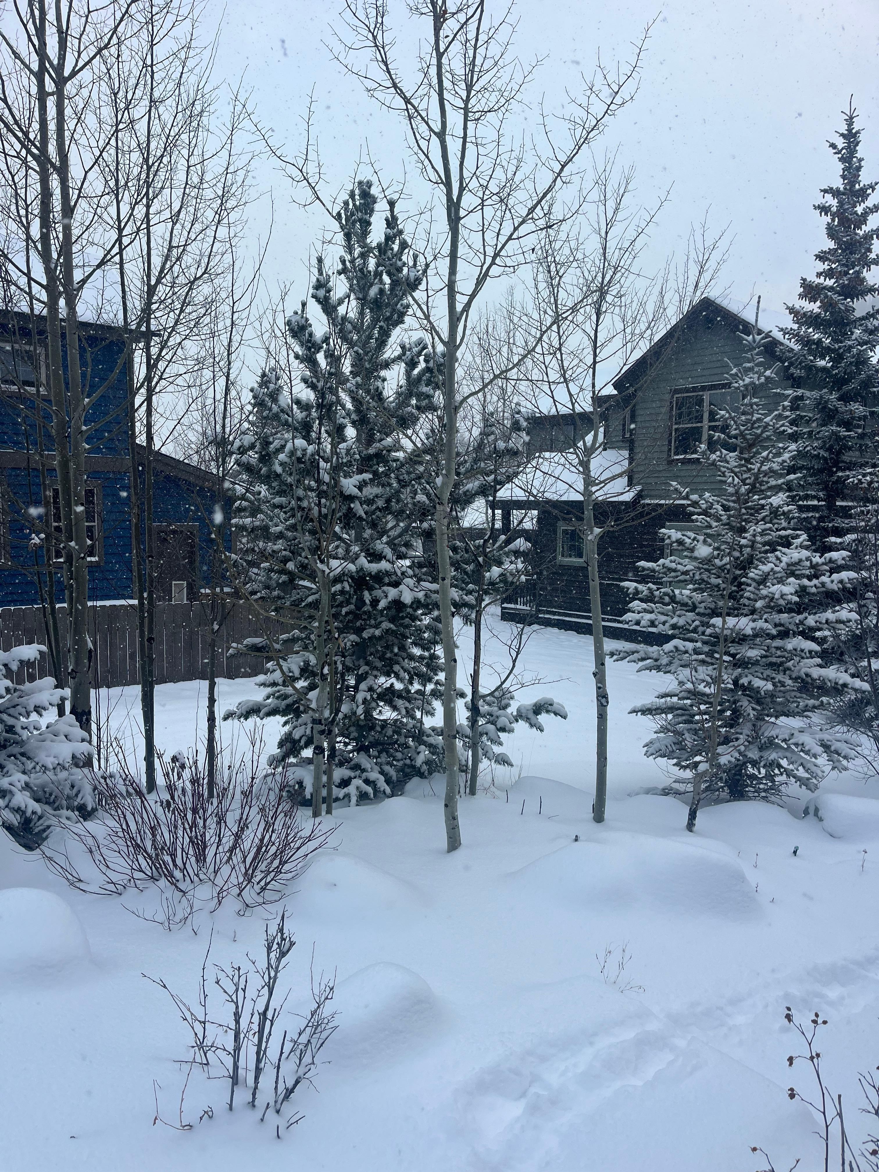Stunning and clean backyard. 