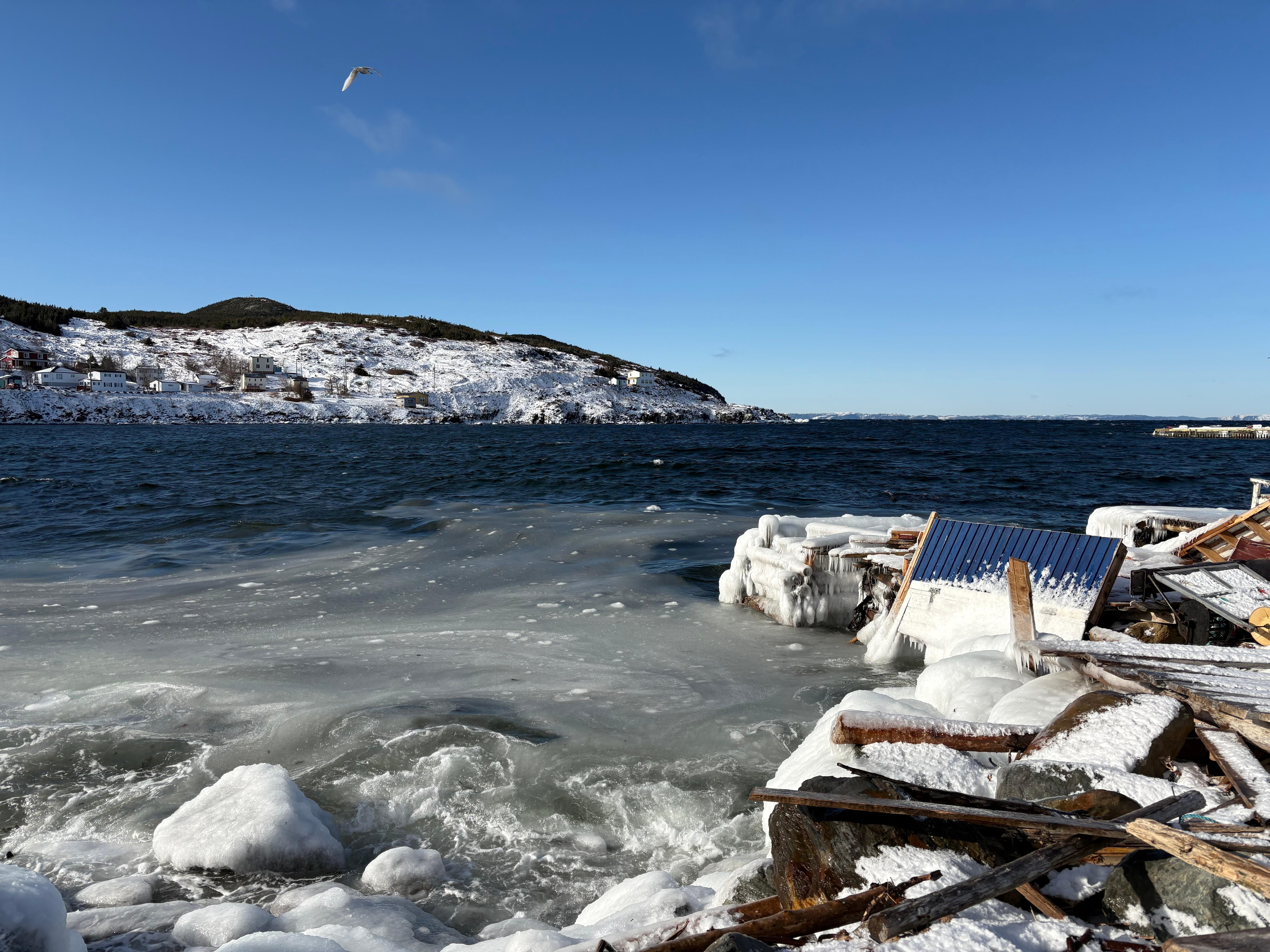 The view just down the hill!