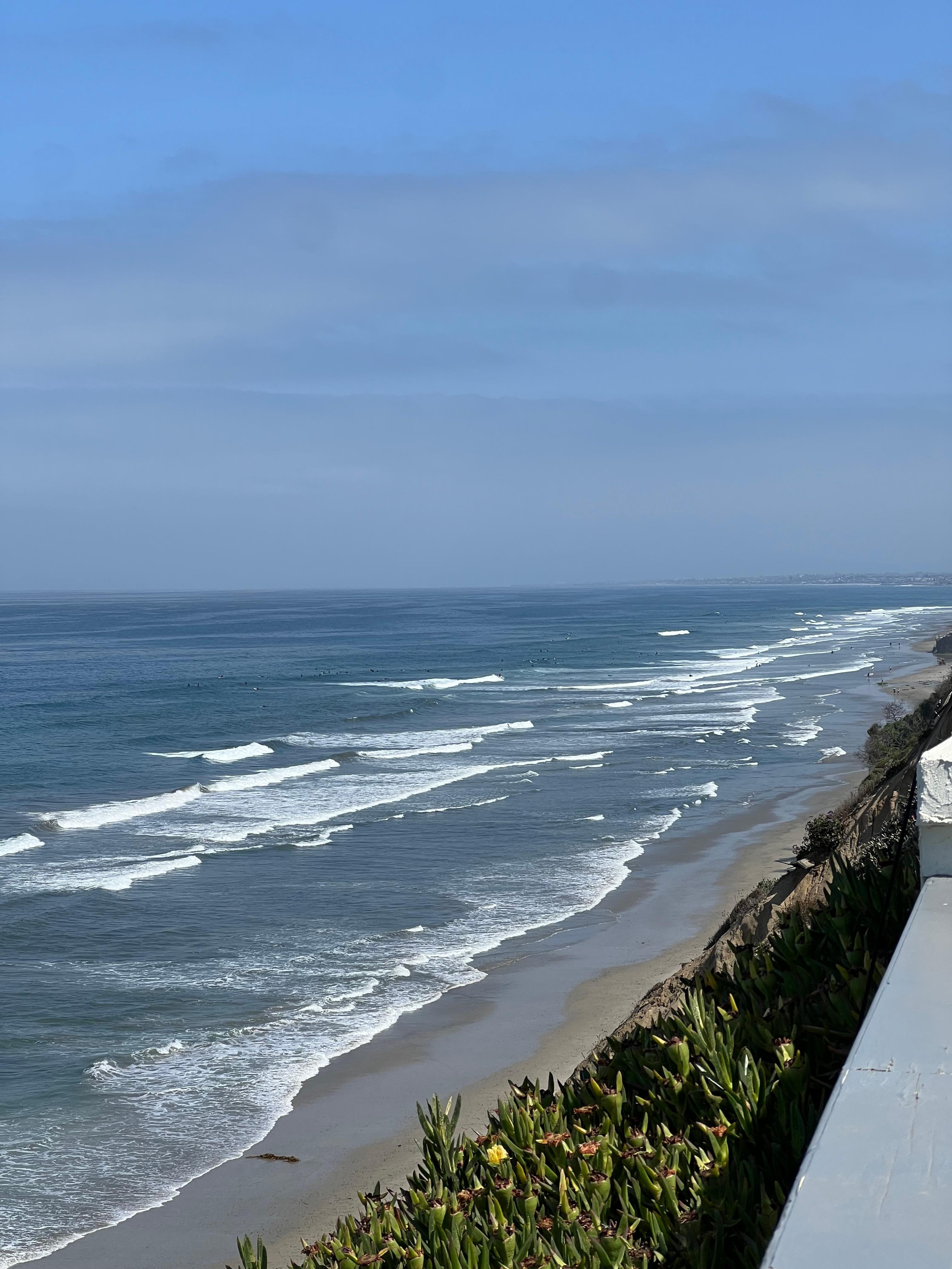 Looking north off the patio. 