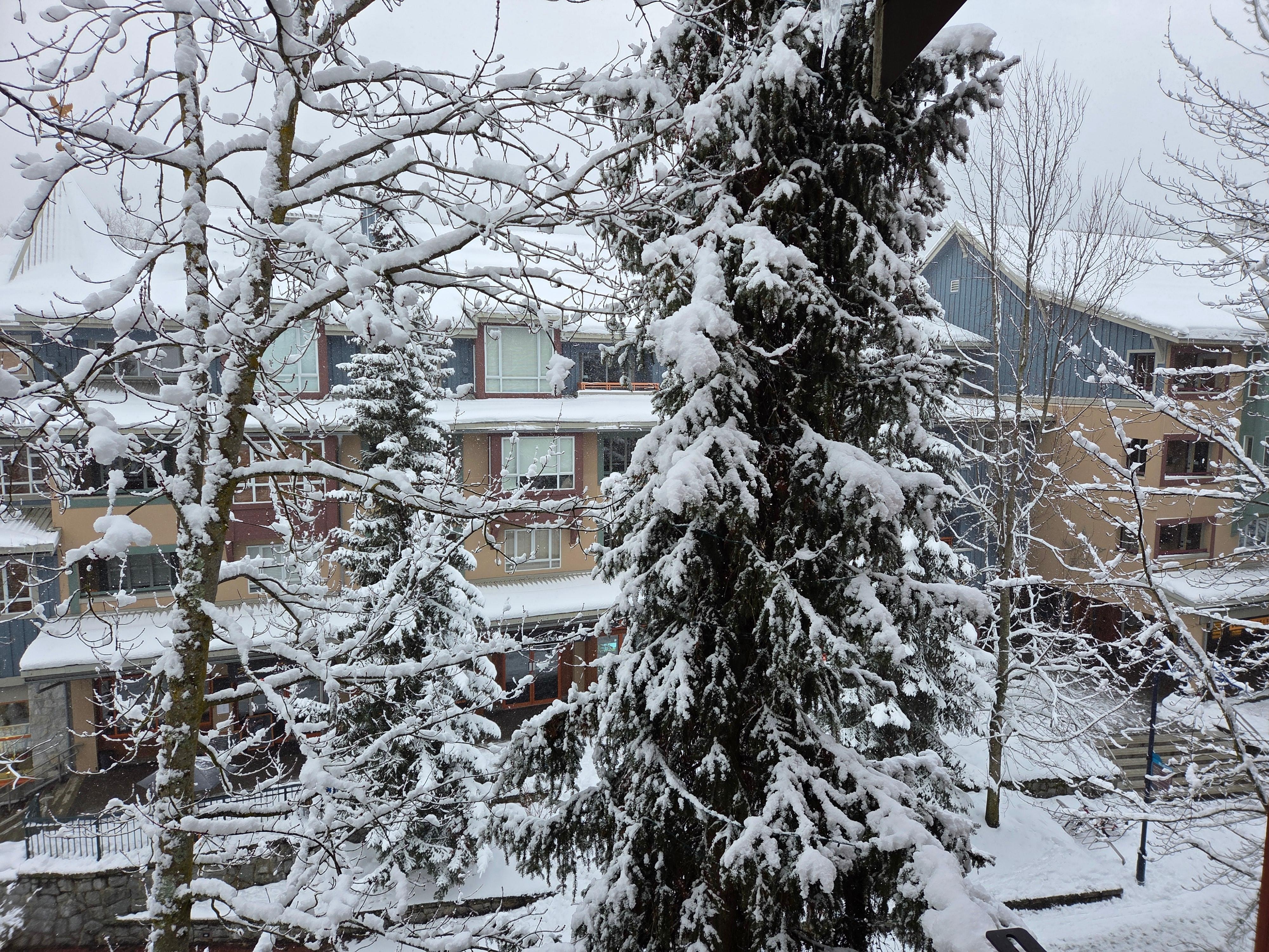 View from main window.