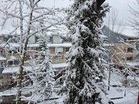 View from main window.