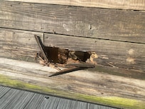 The part of the deck my niece foot went through in front the hot tub