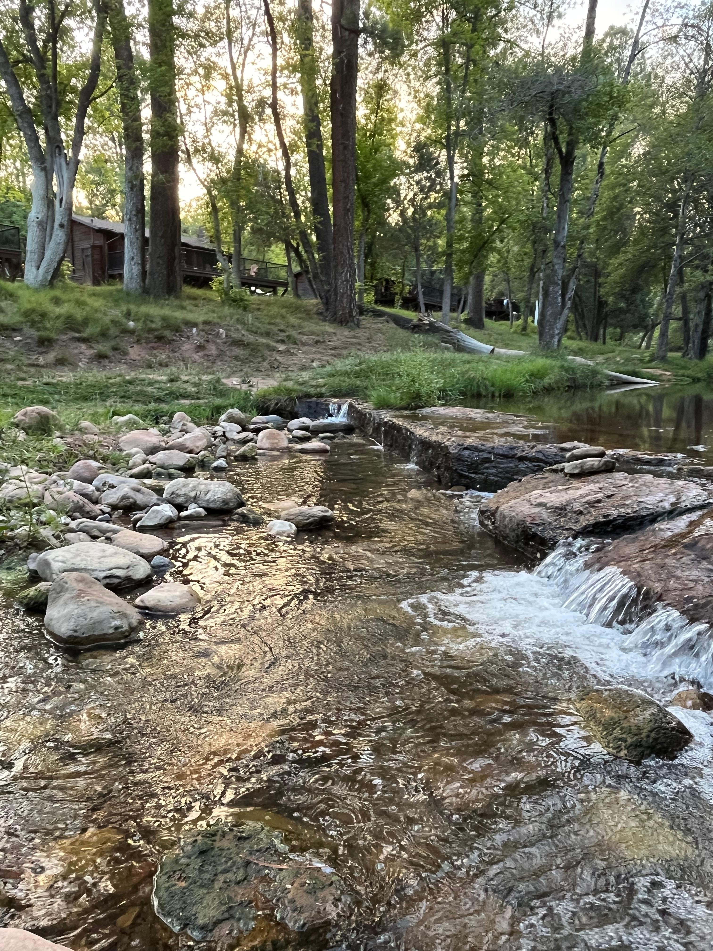 Creek behind the cabins 