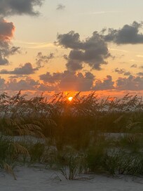Sunset 🌅