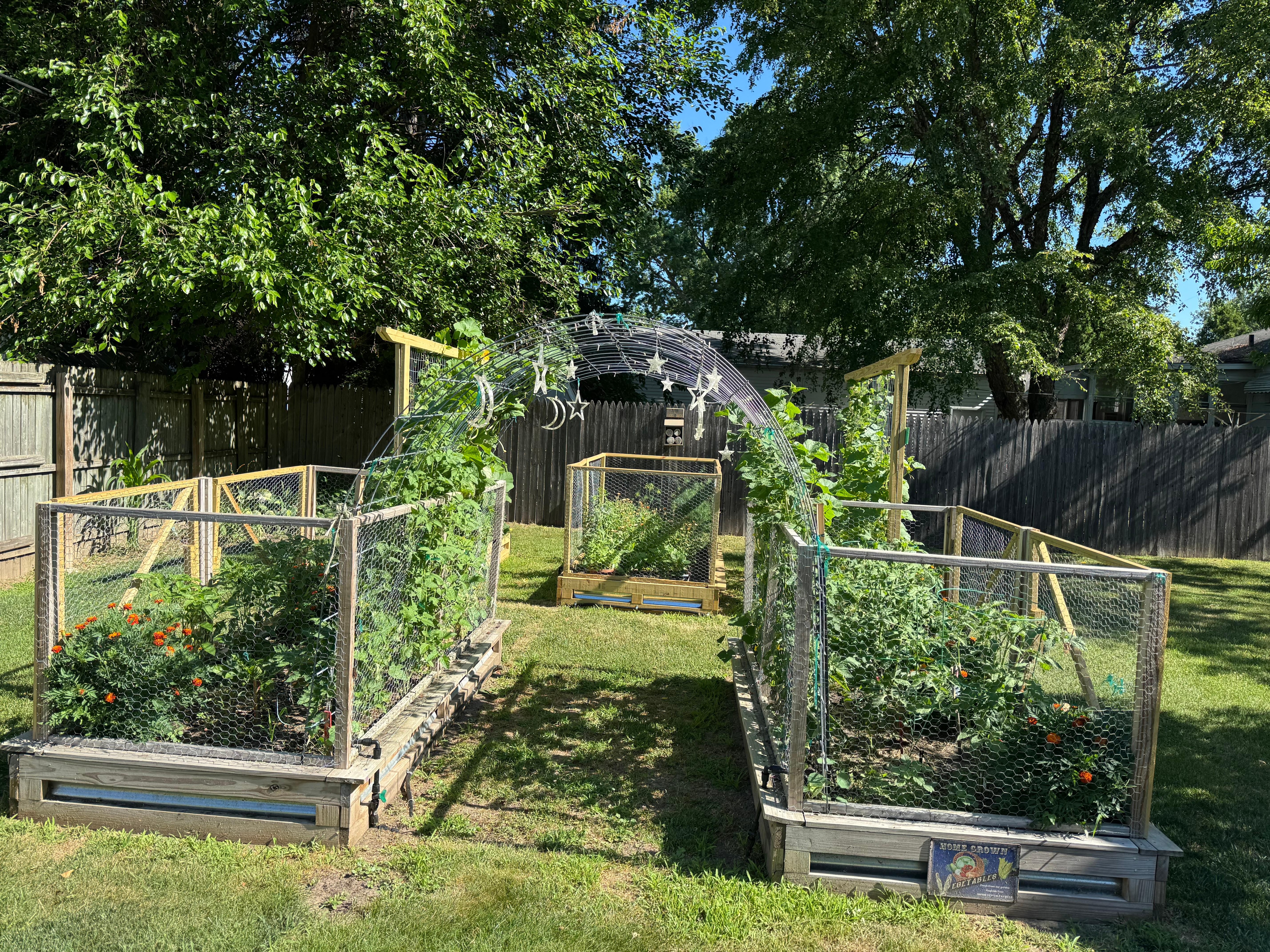 Vegetable garden 