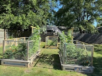 Vegetable garden