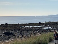 Whale watching from just below Vrbo
