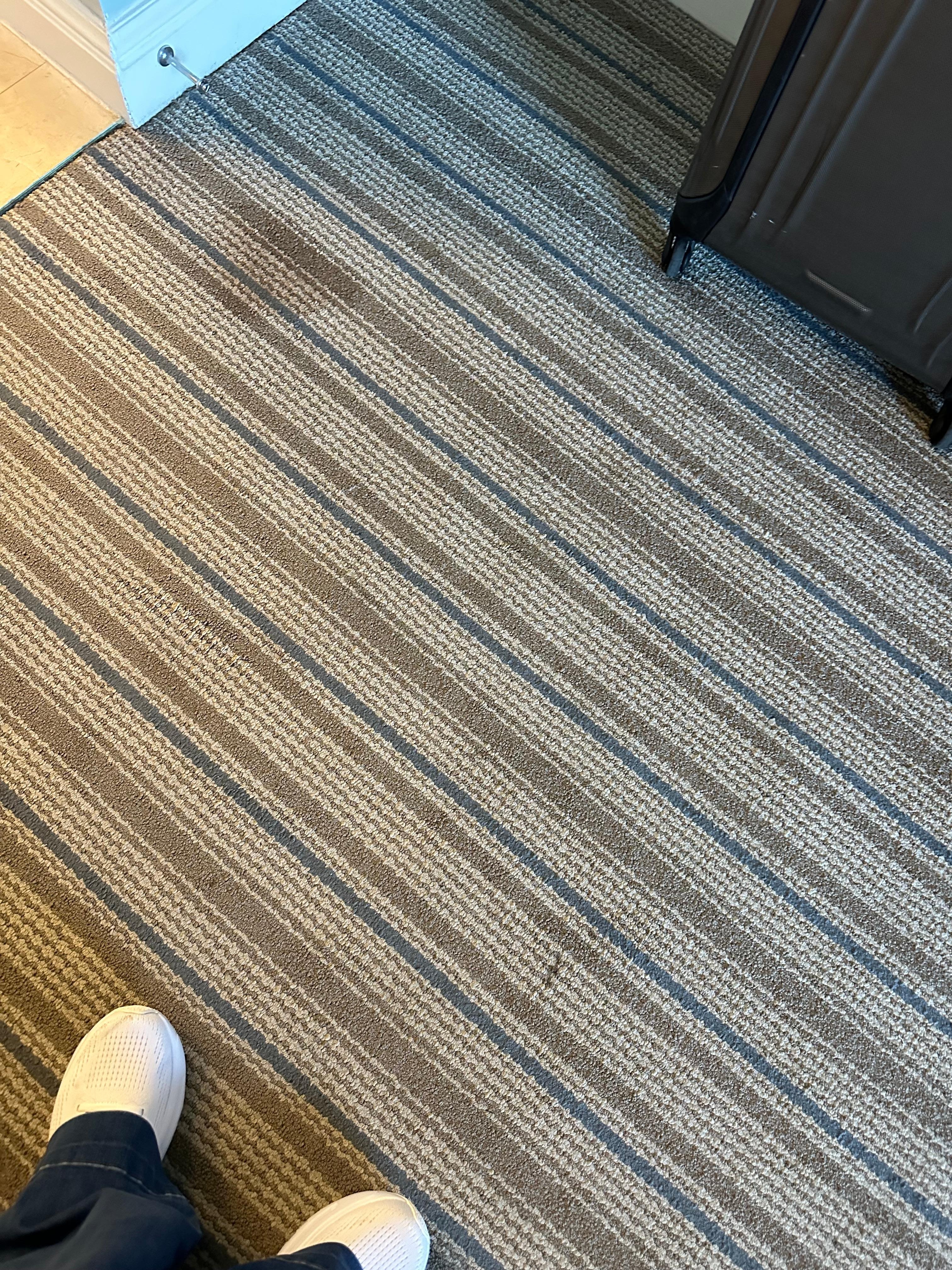 Stains all over the carpet