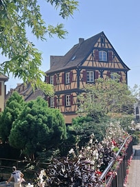 Colmar