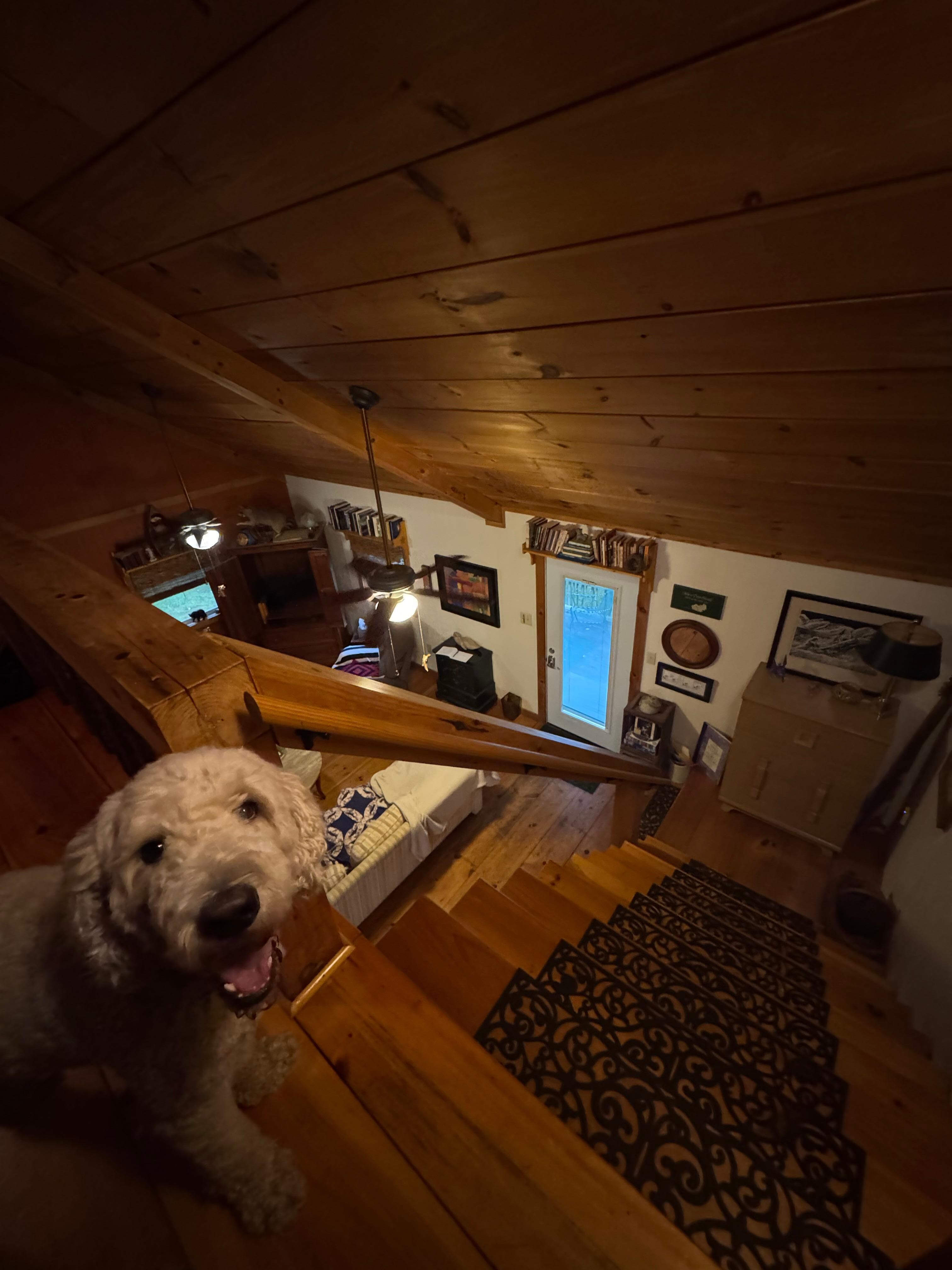 Loft