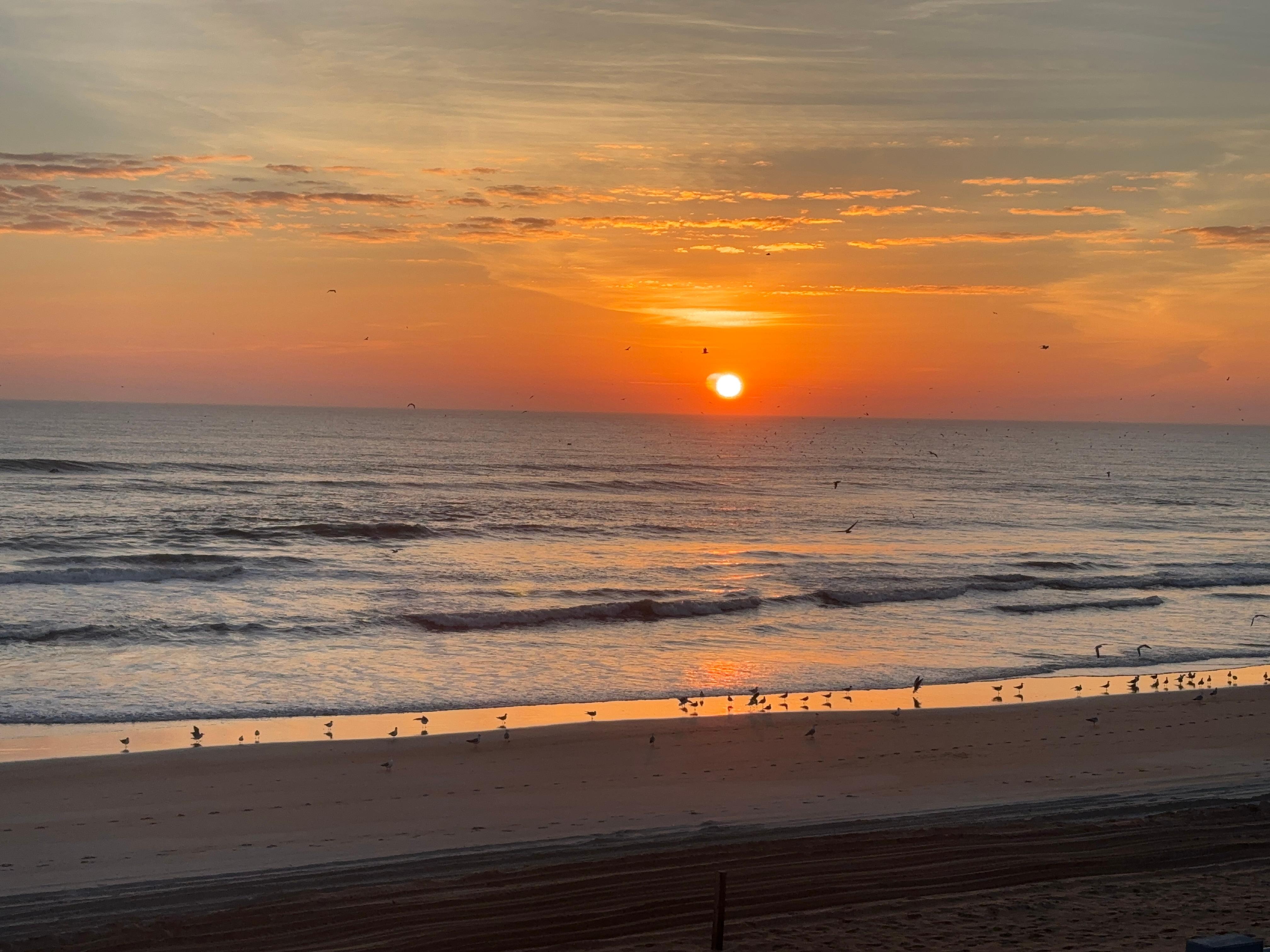 These pictures were taken from the room