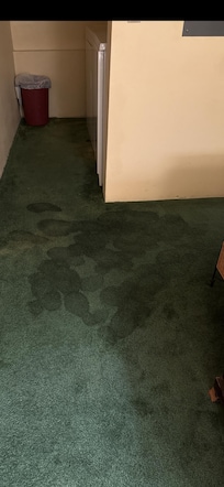 Bottom level carpet from water leak