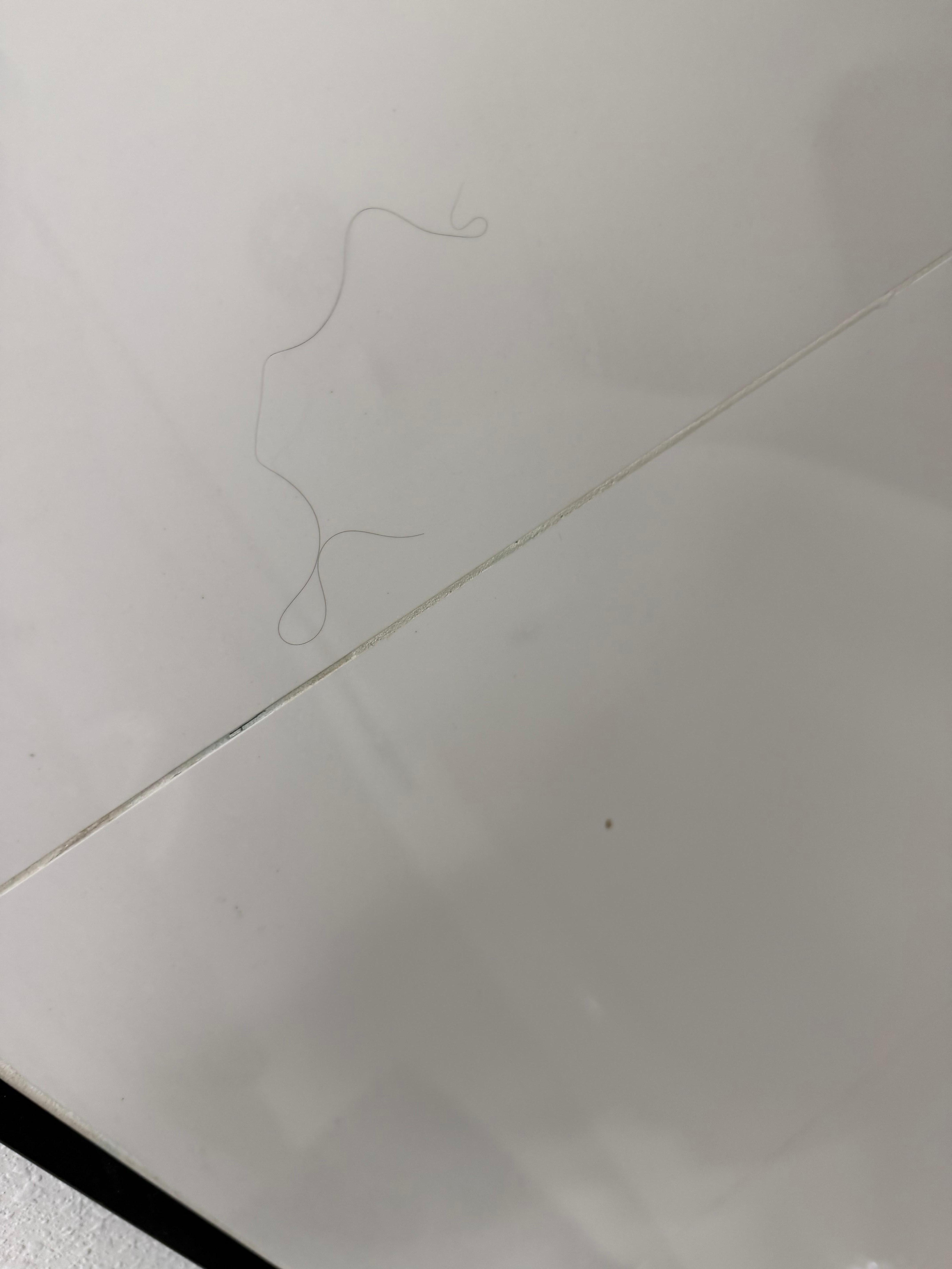 Giant hair on the wall in the bathroom.