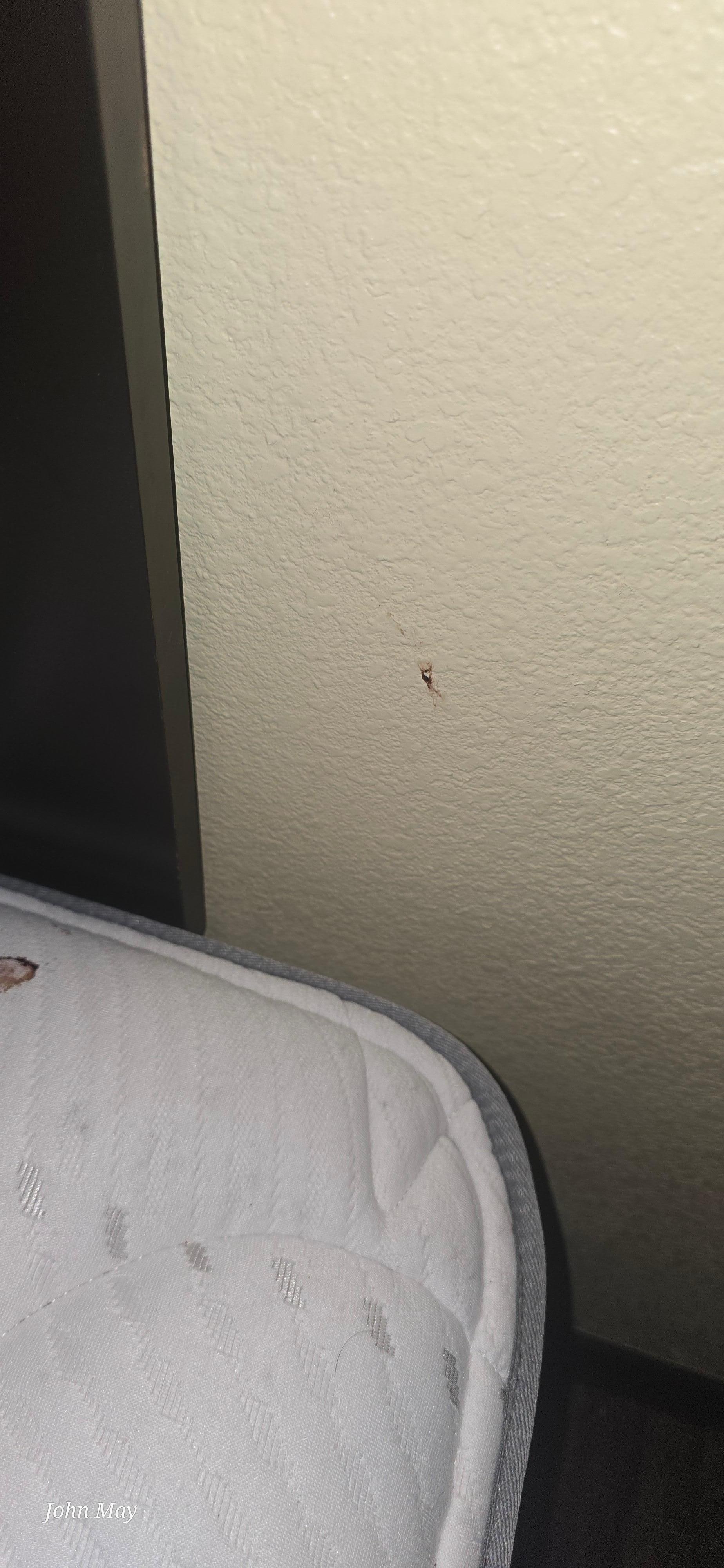 Blood on wall