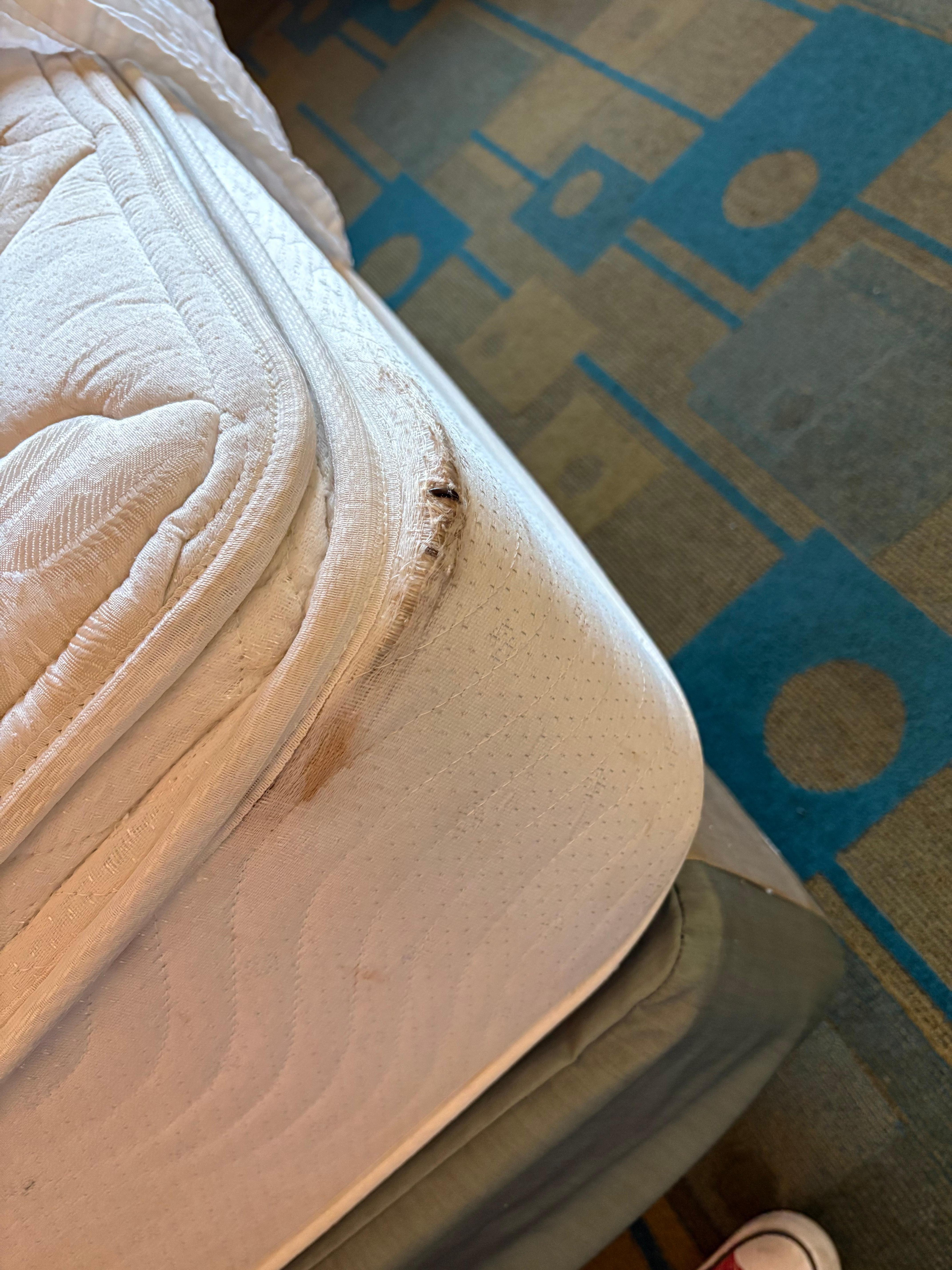 Dirty mattress and springs that have come through. Both looked this way all the way around.