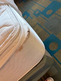 Dirty mattress and springs that have come through. Both looked this way all the way around.