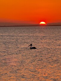 Sunset from the pier