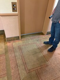Upstairs carpet in hallway