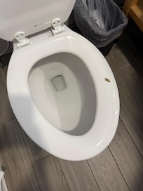 Chipped toilet seat