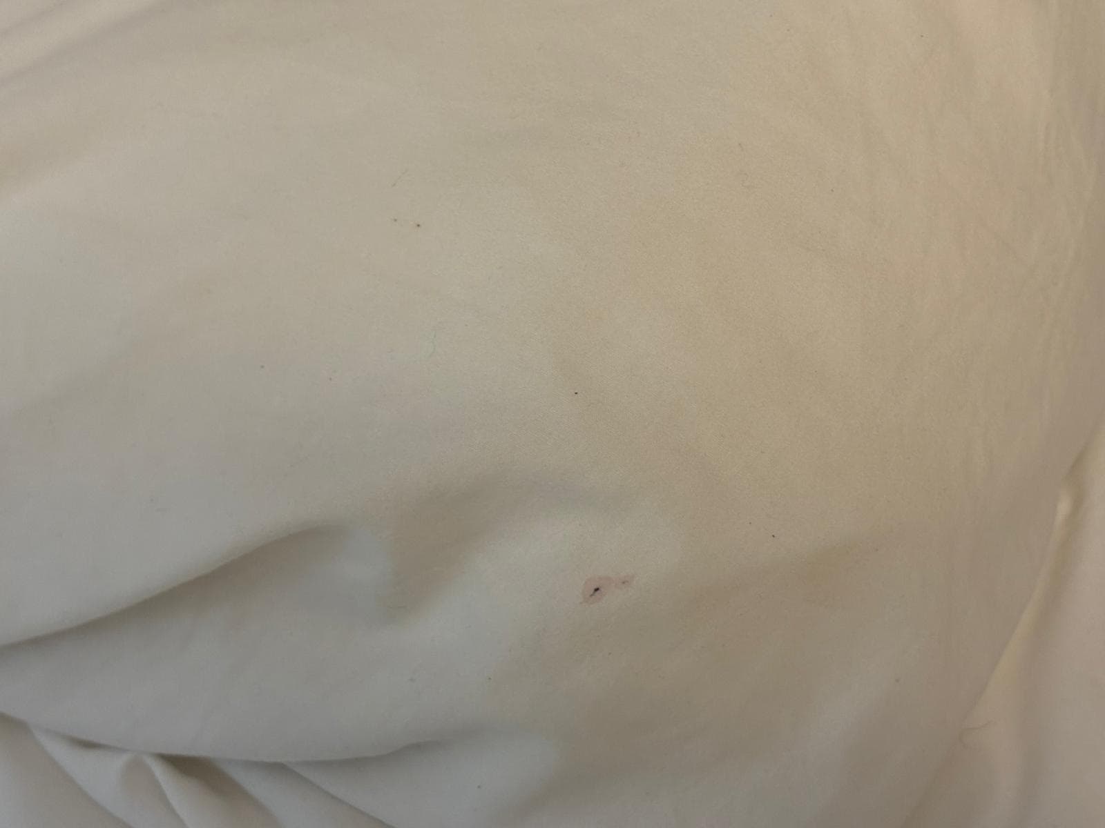 dirty bed stain