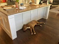 Dogs favorite spot 😂