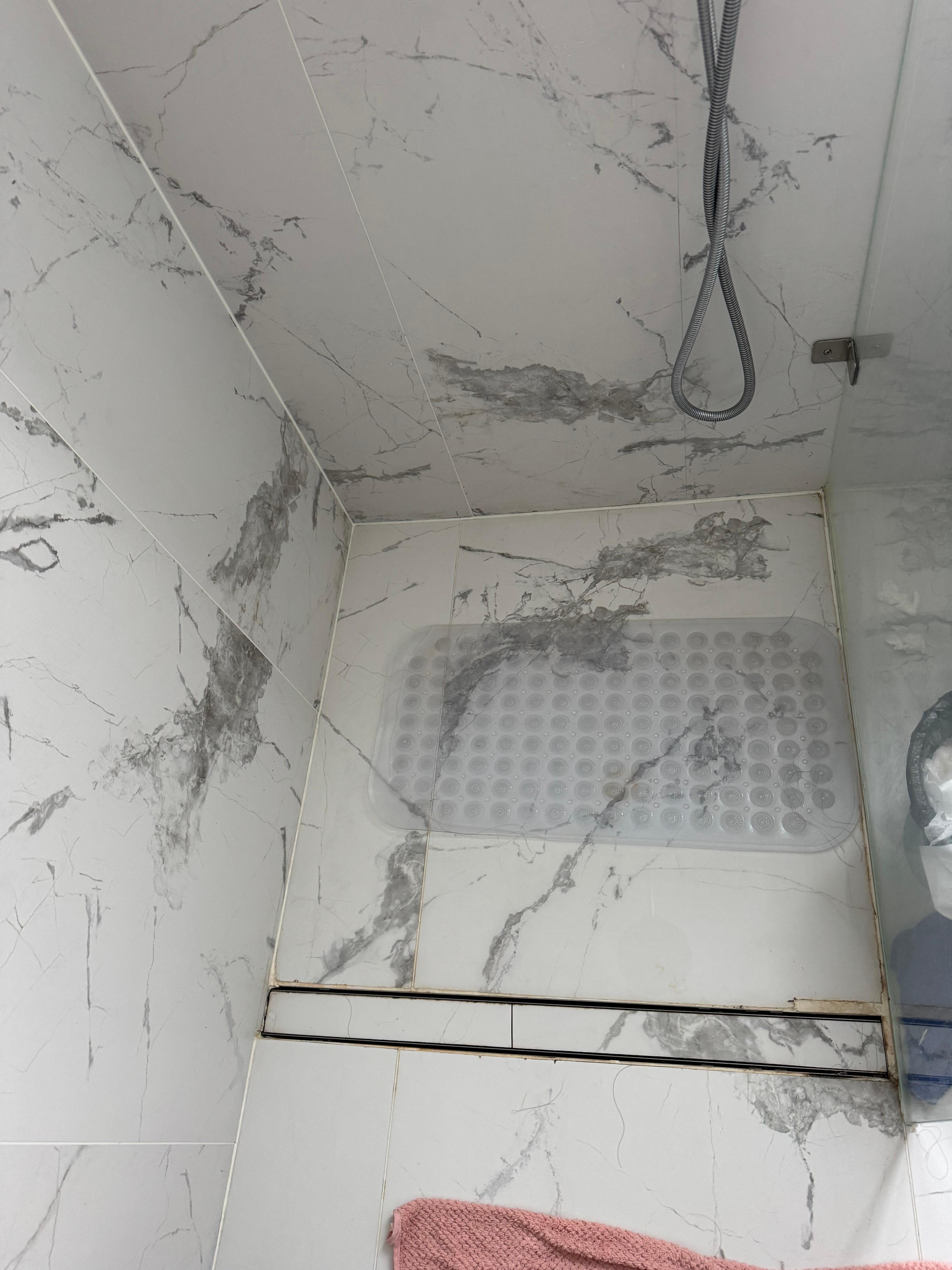 shower with mildew