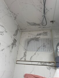 shower with mildew