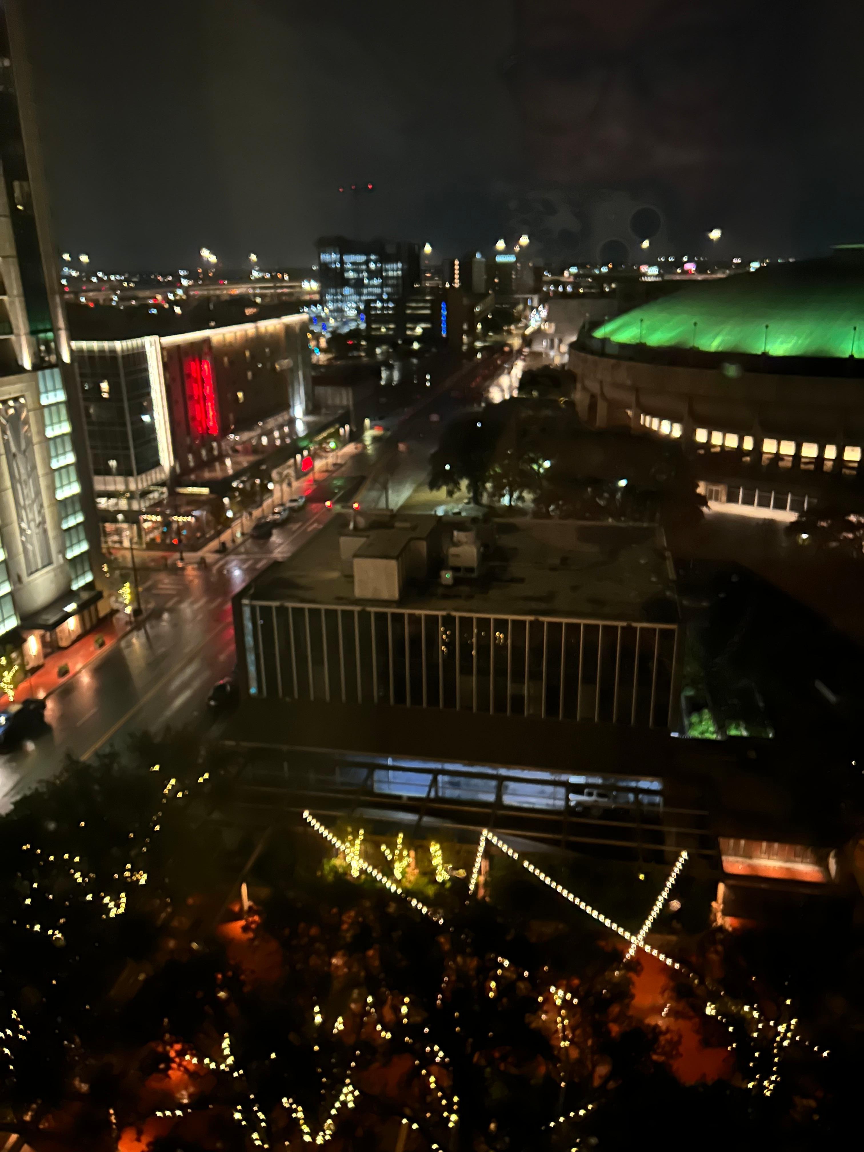 View from Room 1018.