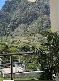 View from my balcony ,