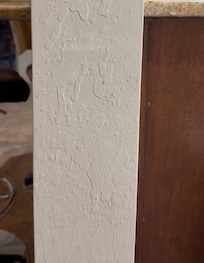 Very hard to see because they are so tiny, but the trails of ants were constant.