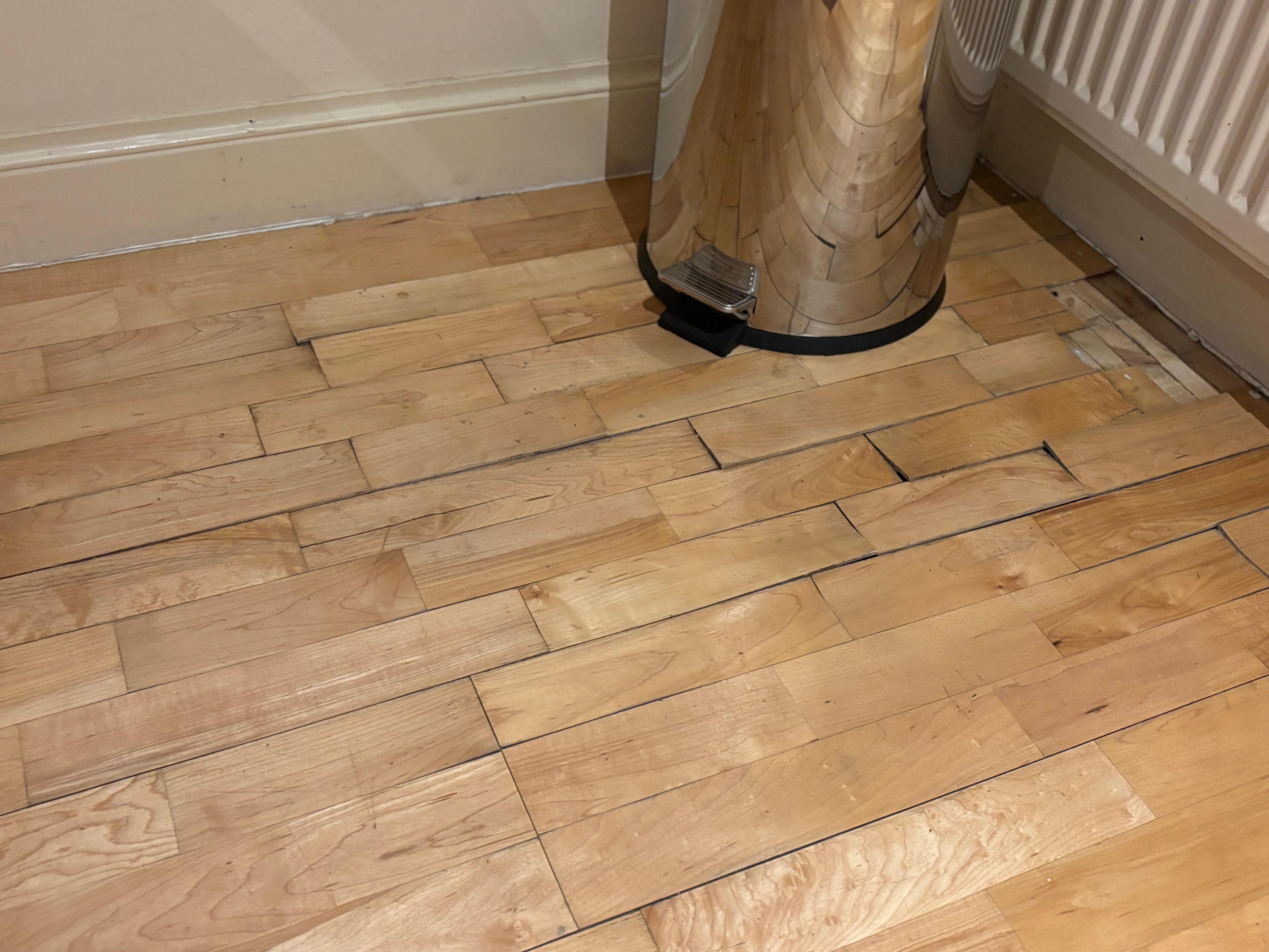 Floorboards lifting and horribly squeaky 