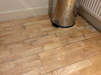 Floorboards lifting and horribly squeaky