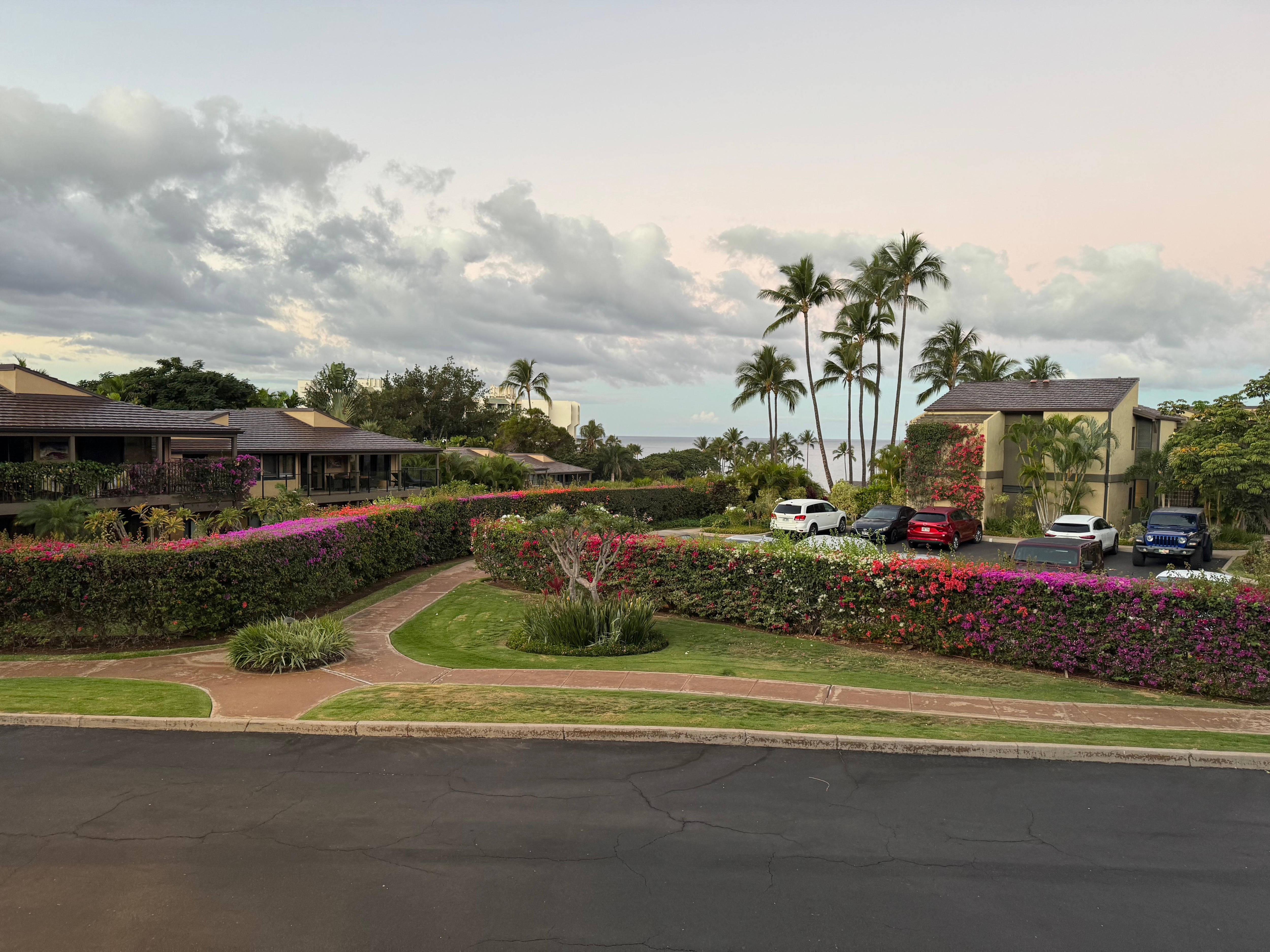 The view from the lanai