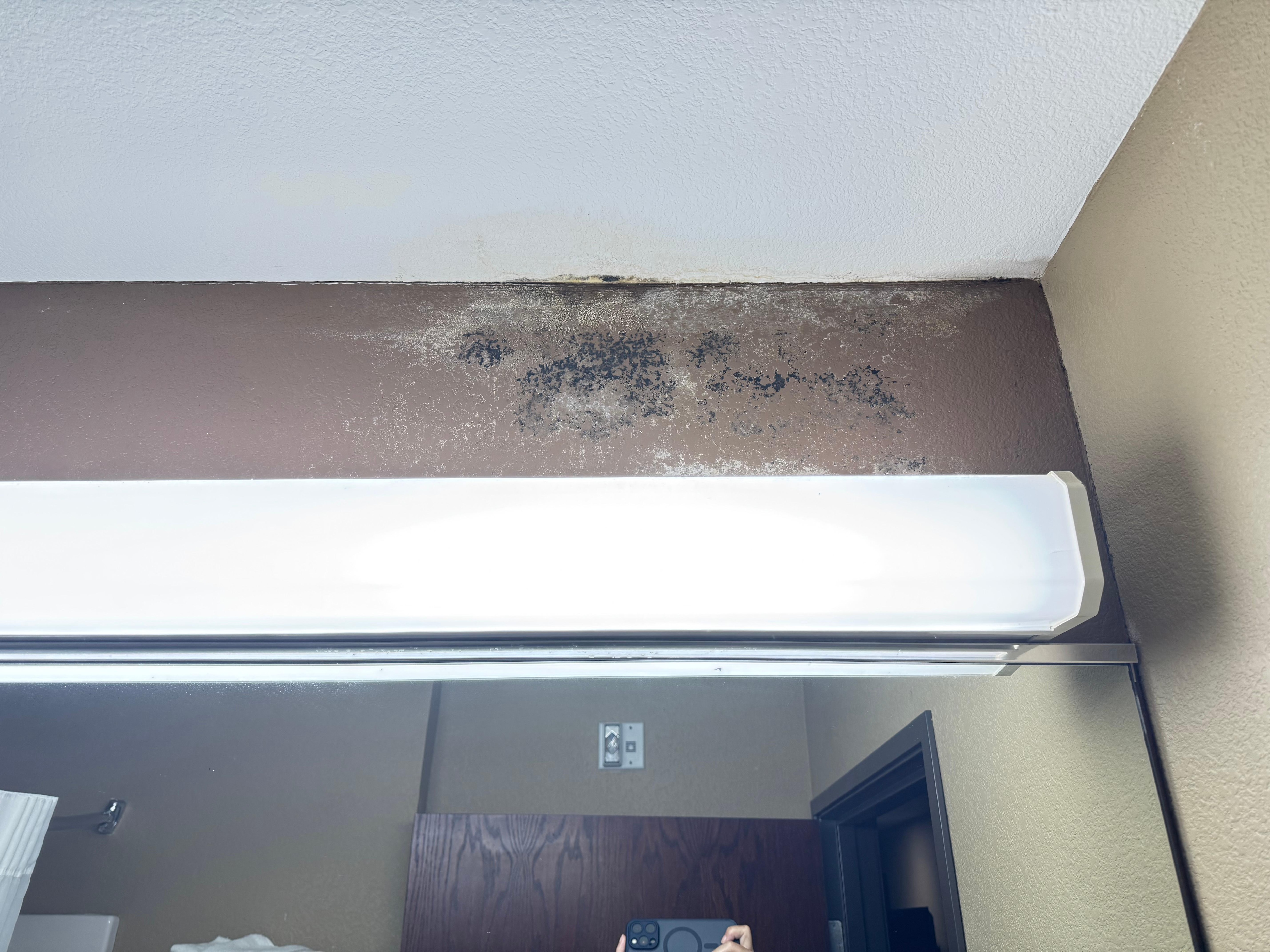 Mold in the bathroom 