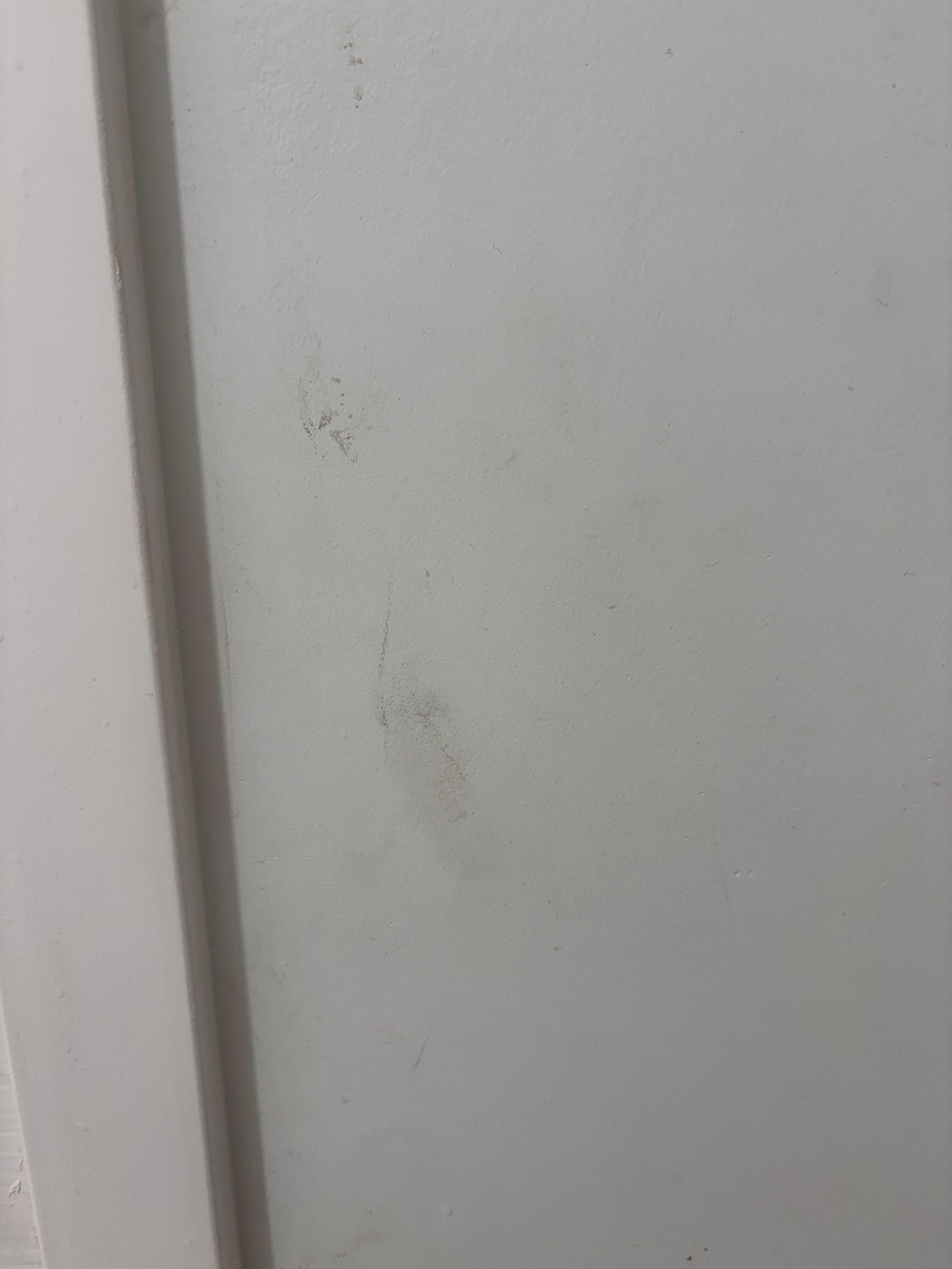 Grimy prints EVERYWHERE 