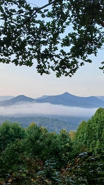 View from back deck